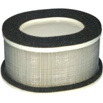 Hiflofiltro Air Filter HFA4911 New. Price: $35.47.