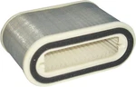 Hiflofiltro Air Filter HFA4910 New. Price: $36.29.