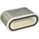 Hiflofiltro Air Filter HFA4910 New. Price: $30.23.