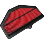 Hiflofiltro Air Filter HFA3616 New. Price: $38.58.