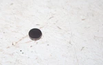 New Nos Kawasaki ZX-11/ZX-10/ZX-7/VN/ZRX1100 Valve Shim 2.30T 92025-1876. Price: $11.90.
