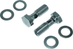 Bikers Choice 482866 Evolution Cam Big Twin Breather Bolt Kit New. Price: $24.99.