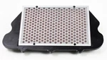 Air Filter HFA1910 New. Price: $39.20.