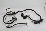 2002 Aprilia ETV1000 Caponord Main Wiring Wire Harness Complete Used. Price: $149.99.