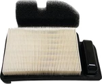 102-992 Air Filter Combo Compatible With/replacement For Cub Cadet LTX1040 And New. Price: $38.21.
