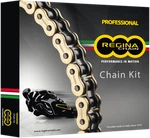 Regina Chain And Sprocket Kit 5ZRT/114KKA026 New. Price: $252.03.