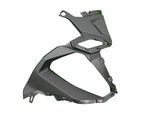 Kawasaki New 2020 Ninja 1000SX Cowling, Slat, Rh Genuine 55028-0741. Price: $207.47.