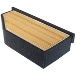 Lx 1710 Air Filter For Mahle New. Price: $73.30.