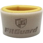 Filguard Premium Dual Stage Air Filter 2-20-03 New. Price: $16.39.