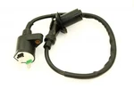 250CC Scooter Moped Ignition Coil Module Motor Parts For CF250T V New. Price: $18.99.