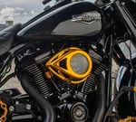Arlen Ness 18-974 Clear Tear Air Cleaner Intake Gold 2017-24 Harley Davidson M8 New. Price: $384.70.