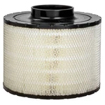 Donaldson B125011 Air Filter 8.98 In. Body Length, Primary Type, Round Style New. Price: $165.88.