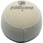 Filguard Premium Dual Stage Air Filter 2-70-04 New. Price: $19.33.