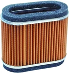 Hiflofiltro Air Filter HFA2906 New. Price: $27.09.