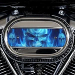 American Freedom Blue Flame Skull Ventilator Insert AF-M8VI-BFS New. Price: $99.99.