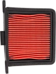 Hiflofiltro Replacement Air Filter - Left Triumph HFA6507 New. Price: $18.99.
