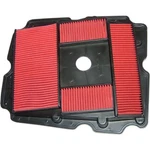 Hiflofiltro Air Filter HFA1614 New. Price: $49.30.