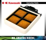 Kawasaki Genuine Oem 2000 2001 Ninja ZX-12R Air Filter Assembly 11029-1016 New. Price: $64.62.