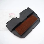 Honda CBR900RR SC28 SC33 Genuine Air Filter 17210-MW0-000 Nos New. Price: $194.00.