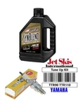 Maxima Oil Change Filter Spark Plug Tune Up Yamaha TTR90E TTR110E New. Price: $23.99.