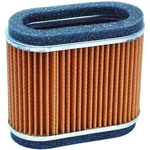 Hiflofiltro Air Filter HFA2906 New. Price: $21.39.