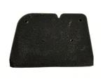 New Kawasaki Genuine Oem 11013-0790 Element-air Filter. Price: $20.12.