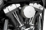 Arlen Ness 50-331 Billet Sucker Stage Air Filter Kit With Steel Cover Smoot... New. Price: $249.95.